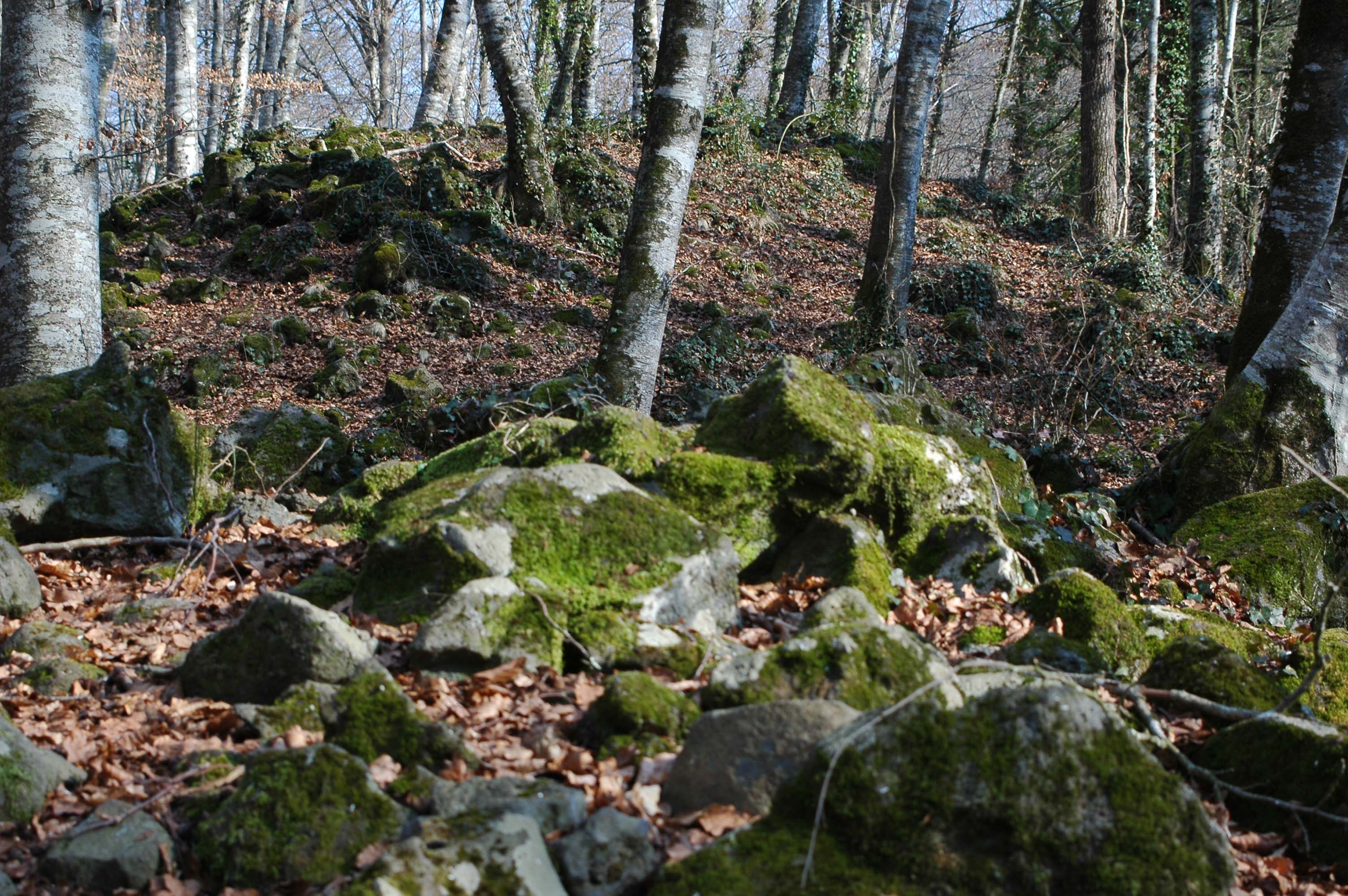 46 - Girona - parque natural de la zona volcanica de la Garrotxa - reserva natural de la fageda d'Jorda